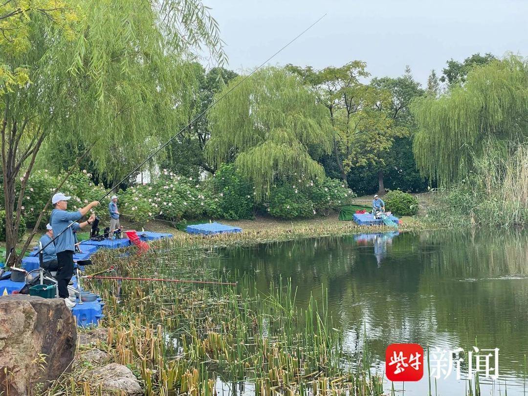 金秋竿舞太湖畔!2025中华垂钓大赛苏州选拔赛举行