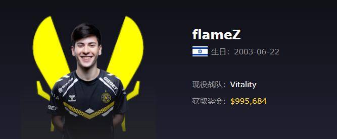 Vitality(小蜜蜂)战队2025最新成员资料、详细介绍