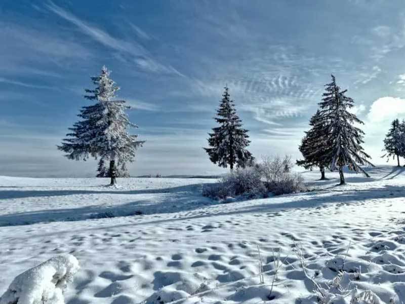 英雄联盟全球縂(zǒng)决赛冠亚军决赛四川(chuān)打(dǎ)响