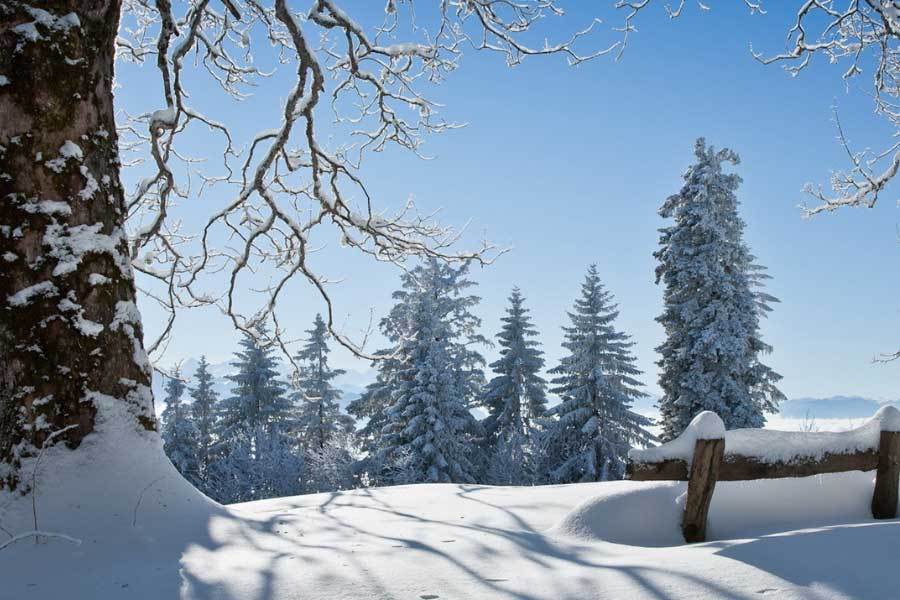 英雄联盟全球总决赛冠亚军决赛四川打响