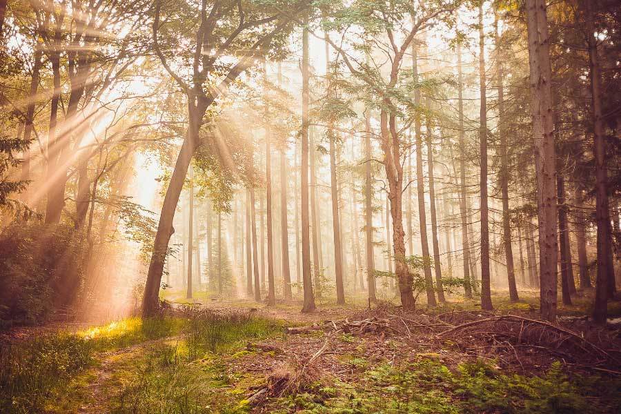 杭州亚运会成功举办展现体育精神与城市魅力